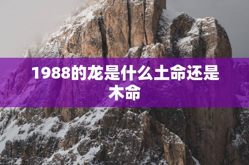 1988的龙是什么土命还是木命