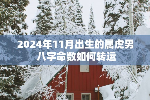 2026年11月出生的属虎男 八字命数如何转运