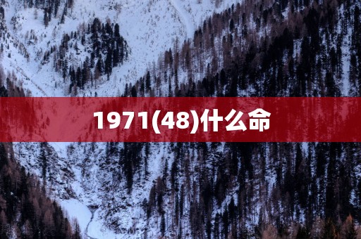 1971(48)什么命