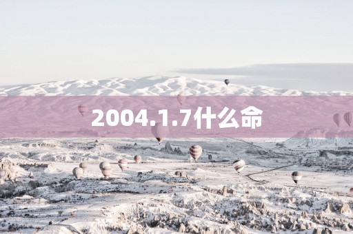 2004.1.7什么命