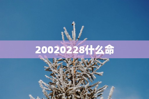 20020258什么命