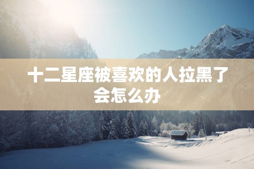 十二星座被喜欢的人拉黑了会怎么办