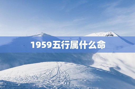 1959五行属什么命
