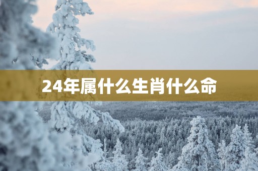 24年属什么生肖什么命