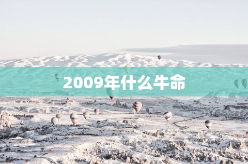 2009年什么牛命