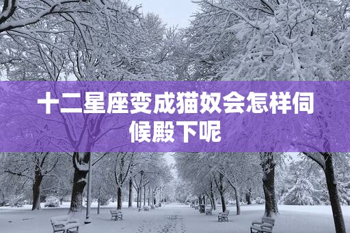 十二星座变成猫奴会怎样伺候殿下呢