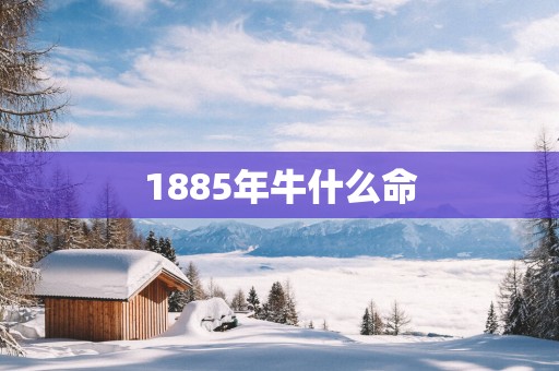 1885年牛什么命