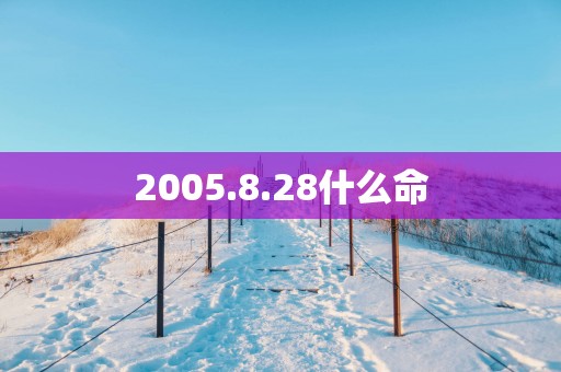 2005.8.28什么命