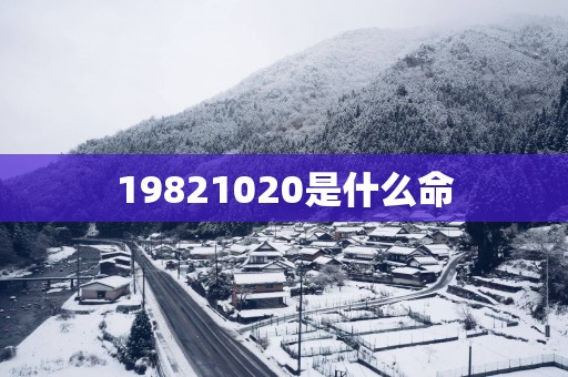 19821020是什么命