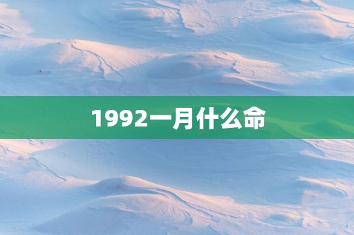 1992一月什么命