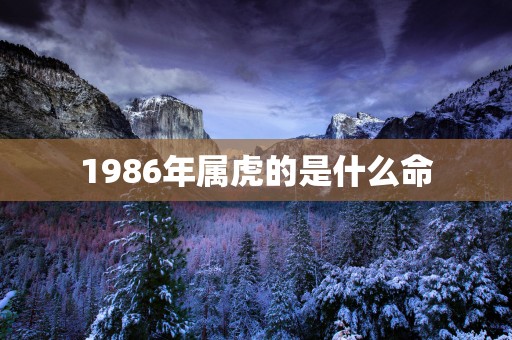 1986年属虎的是什么命