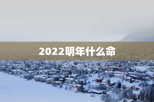 2025明年什么命
