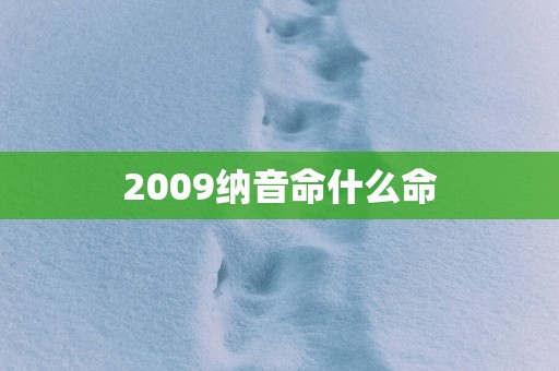 2009纳音命什么命