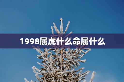 1998属虎什么命属什么