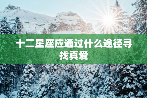 十二星座应通过什么途径寻找真爱