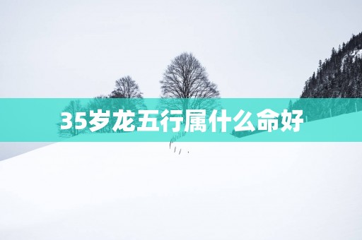 35岁龙五行属什么命好