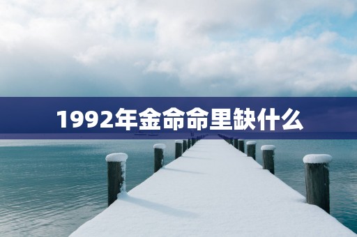 1992年金命命里缺什么