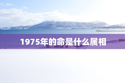 1975年的命是什么属相
