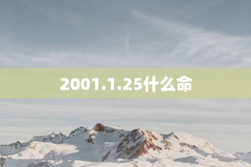 2001.1.25什么命