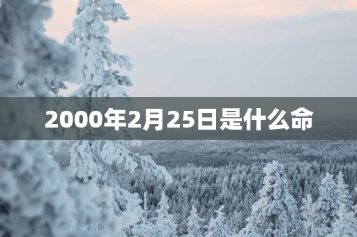 2000年2月25日是什么命