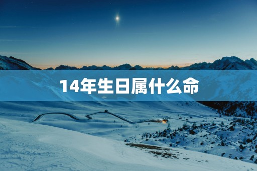 14年生日属什么命