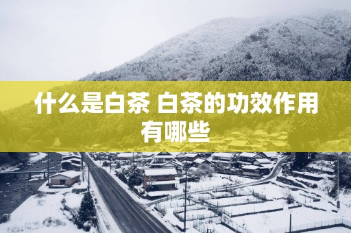 什么是白茶 白茶的功效作用有哪些