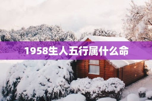1958生人五行属什么命