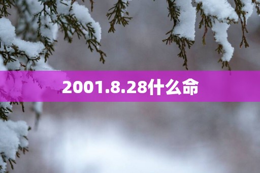 2001.8.28什么命 2001.8.28什么命
