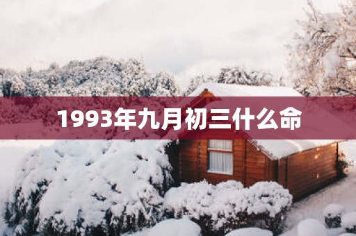 1993年九月初三什么命
