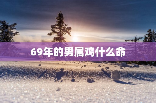 69年的男属鸡什么命
