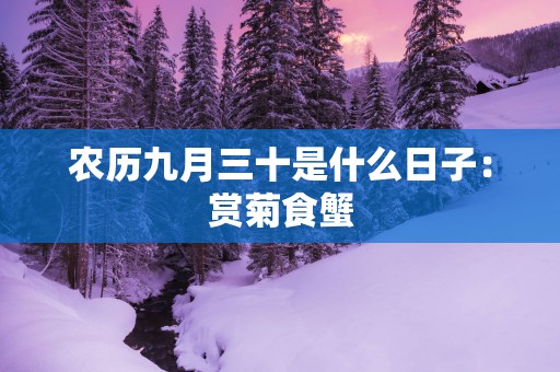 农历九月三十是什么日子：赏菊食蟹