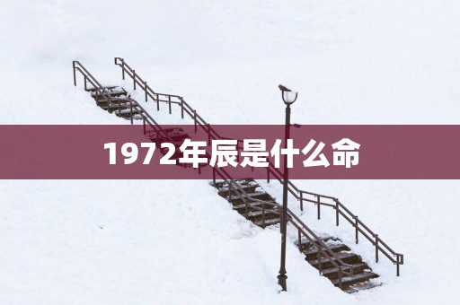 1972年辰是什么命