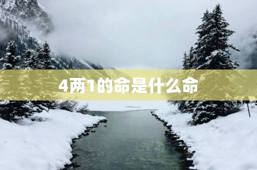 4两1的命是什么命