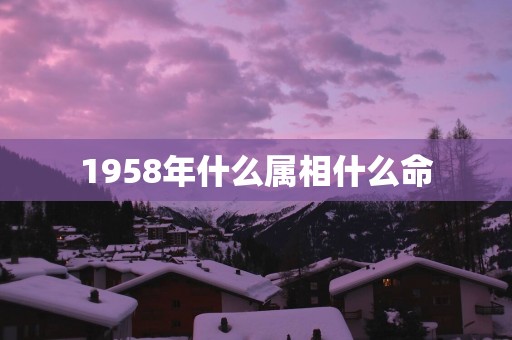 1958年什么属相什么命