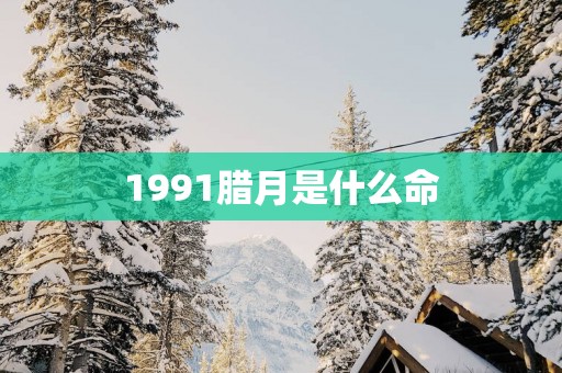 1991腊月是什么命