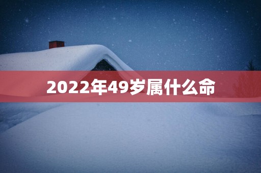2025年49岁属什么命