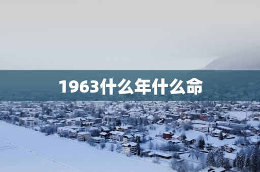 1963什么年什么命