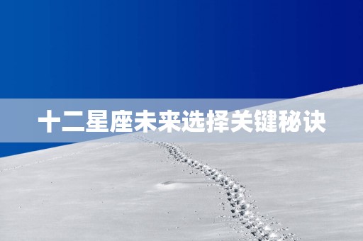 十二星座未来选择关键秘诀