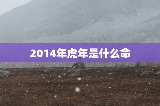 2014年蛇年是什么命
