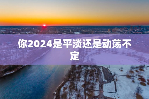 你2025是平淡还是动荡不定