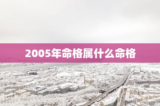 2005年命格属什么命格