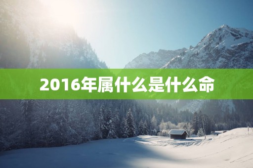 2016年属什么是什么命