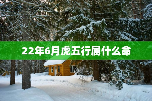 22年6月虎五行属什么命