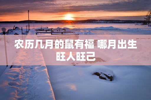 农历几月的鼠有福 哪月出生旺人旺己