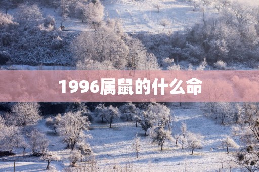 1996属鼠的什么命