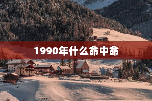 1990年什么命中命