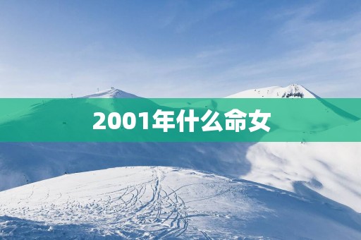 2001年什么命女