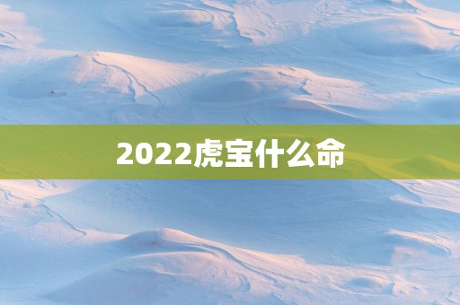 2025虎宝什么命