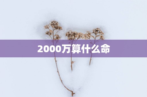 2000万算什么命