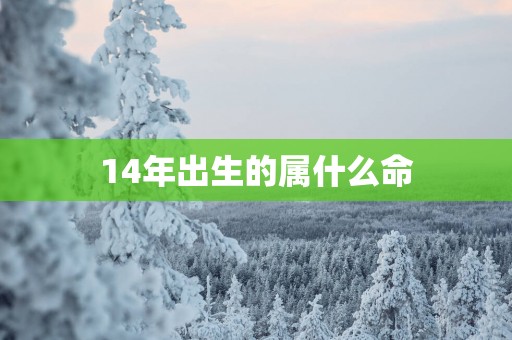 14年出生的属什么命